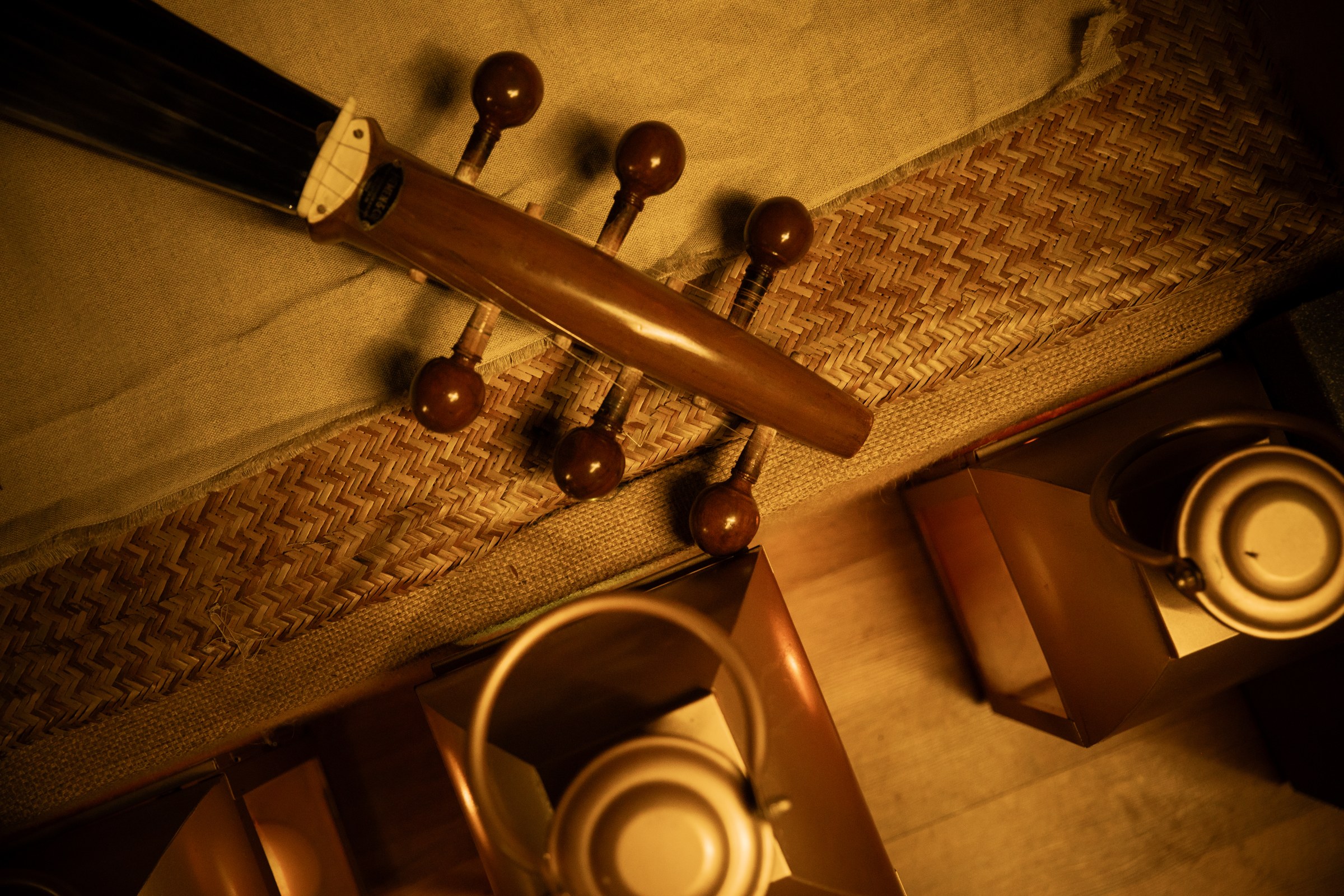 Sarod detail, tungsten highlight along the instrument's neck.